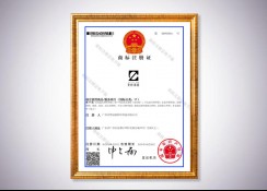 商標(biāo)注冊(cè)